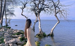 少年啦之零秒出手